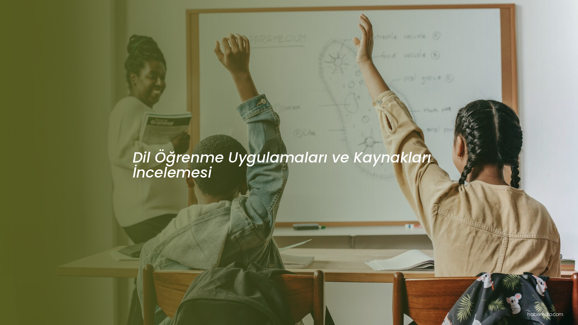 Dil Öğrenme Uygulamaları ve Kaynakları İncelemesi Dil Öğrenme Uygulamaları ve Kaynakları İncelemesi