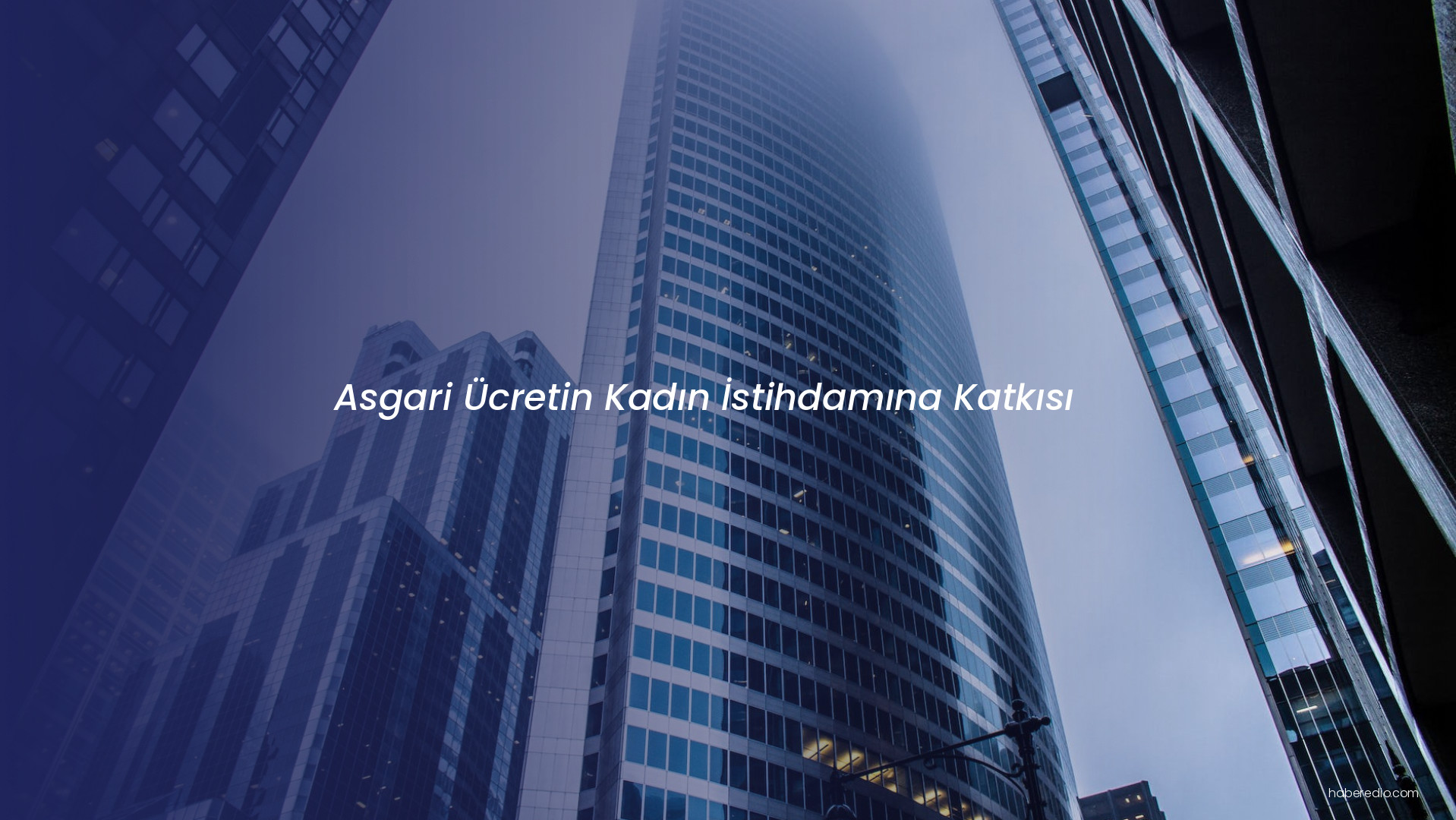 Asgari Ücretin Kadın İstihdamına Katkısı Asgari Ücretin Kadın İstihdamına Katkısı