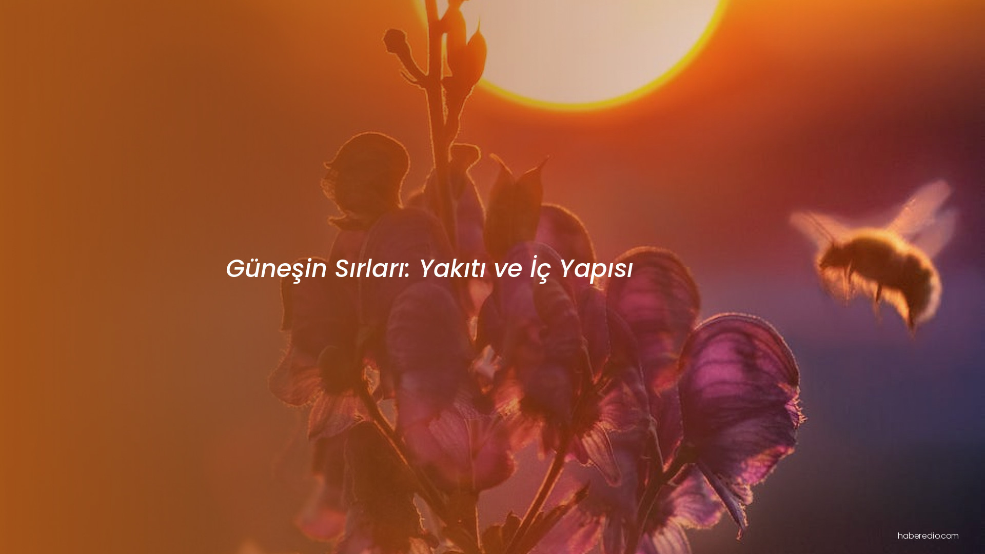 Güneşin Sırları: Yakıtı ve İç Yapısı Güneşin Sırları: Yakıtı ve İç Yapısı
