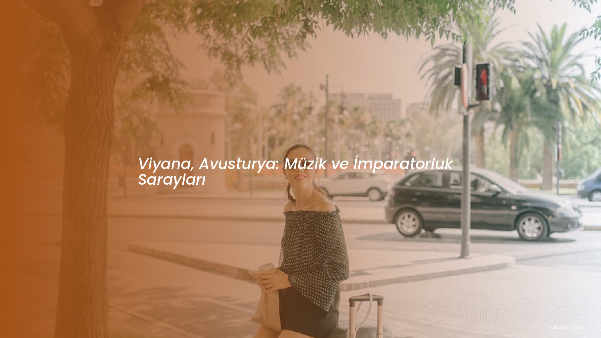 Viyana, Avusturya: Müzik ve İmparatorluk Sarayları Viyana, Avusturya: Müzik ve İmparatorluk Sarayları