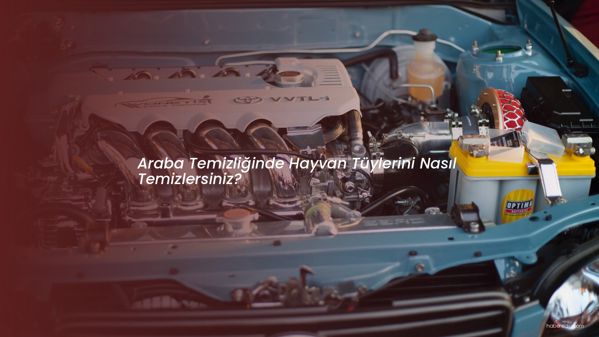 Araba Temizliğinde Hayvan Tüylerini Nasıl Temizlersiniz? Araba Temizliğinde Hayvan Tüylerini Nasıl Temizlersiniz?