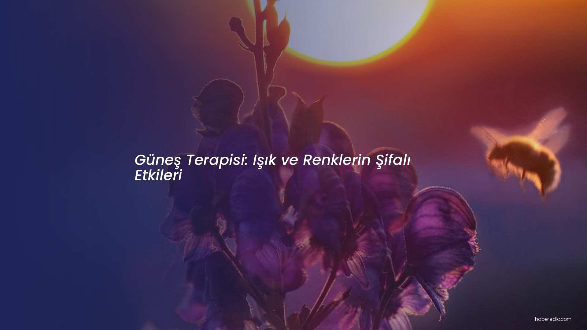 Güneş Terapisi: Işık ve Renklerin Şifalı Etkileri Güneş Terapisi: Işık ve Renklerin Şifalı Etkileri