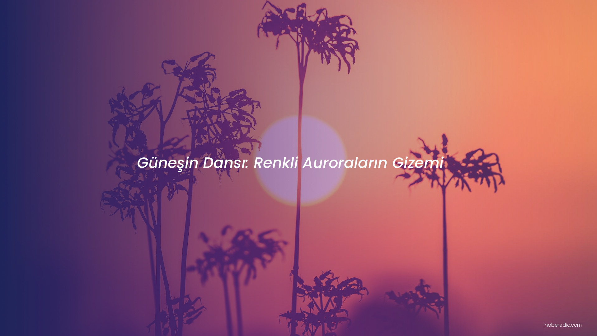 Güneşin Dansı: Renkli Auroraların Gizemi Güneşin Dansı: Renkli Auroraların Gizemi