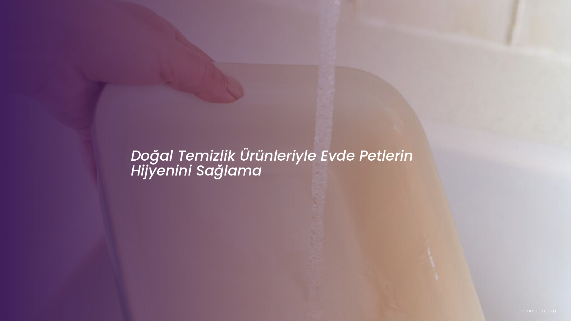 Doğal Temizlik Ürünleriyle Evde Petlerin Hijyenini Sağlama Doğal Temizlik Ürünleriyle Evde Petlerin Hijyenini Sağlama