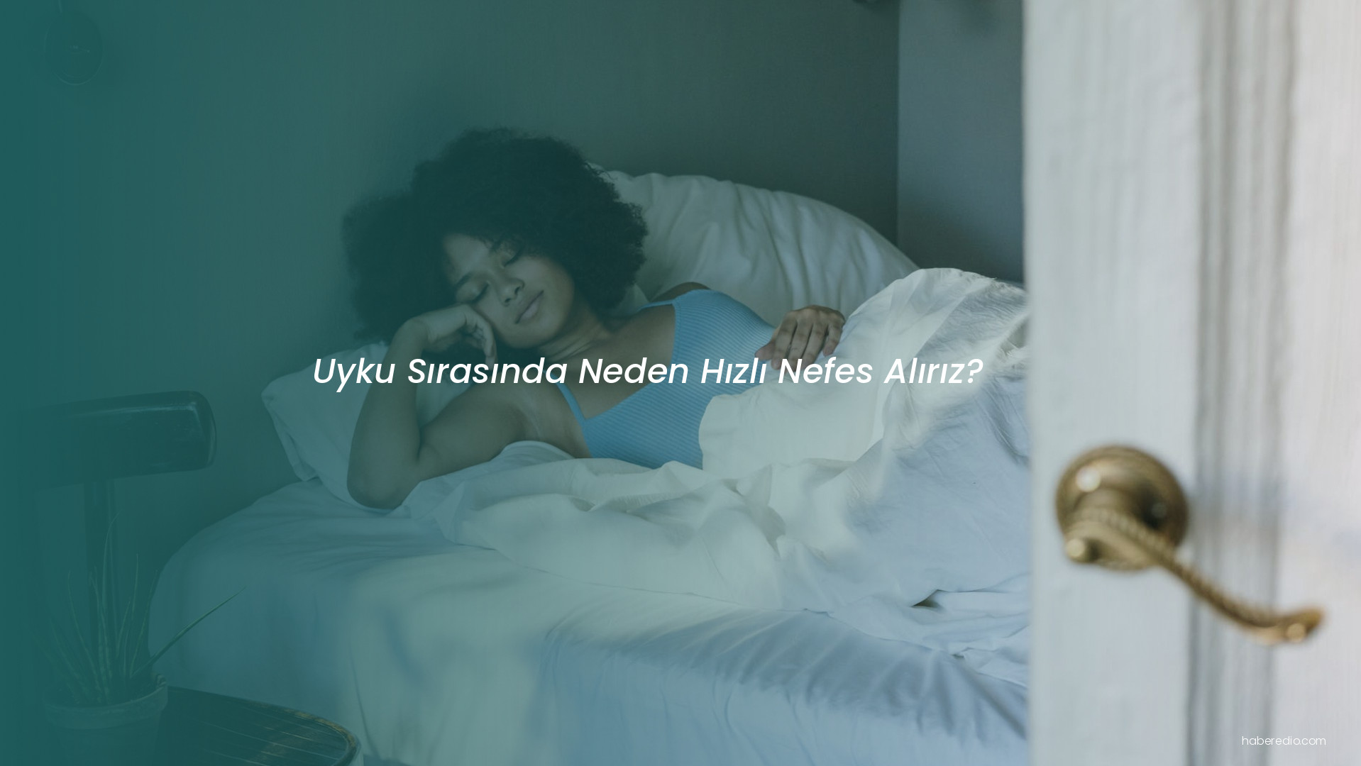 Uyku Sırasında Neden Hızlı Nefes Alırız? Uyku Sırasında Neden Hızlı Nefes Alırız?