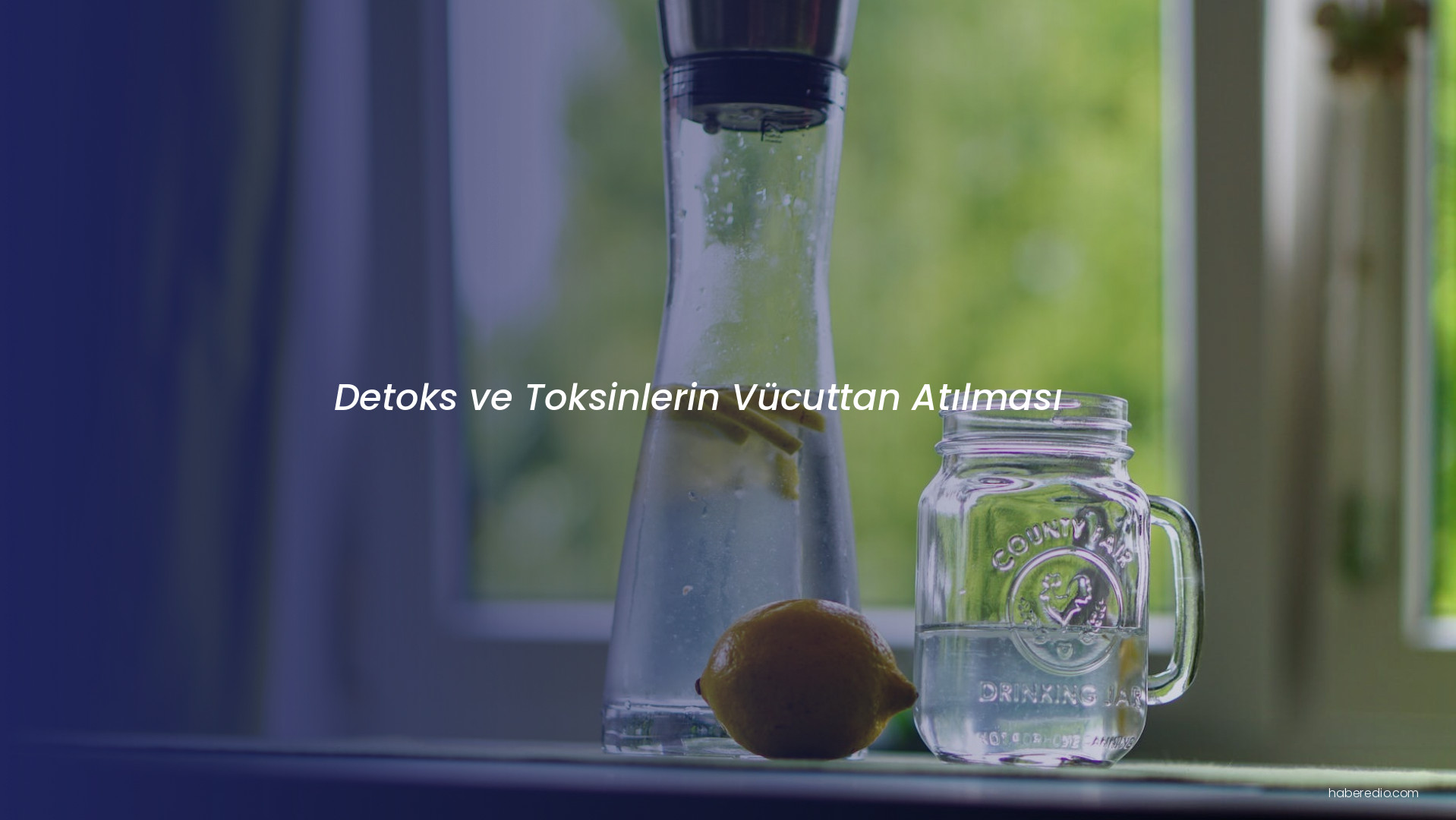 Detoks ve Toksinlerin Vücuttan Atılması Detoks ve Toksinlerin Vücuttan Atılması