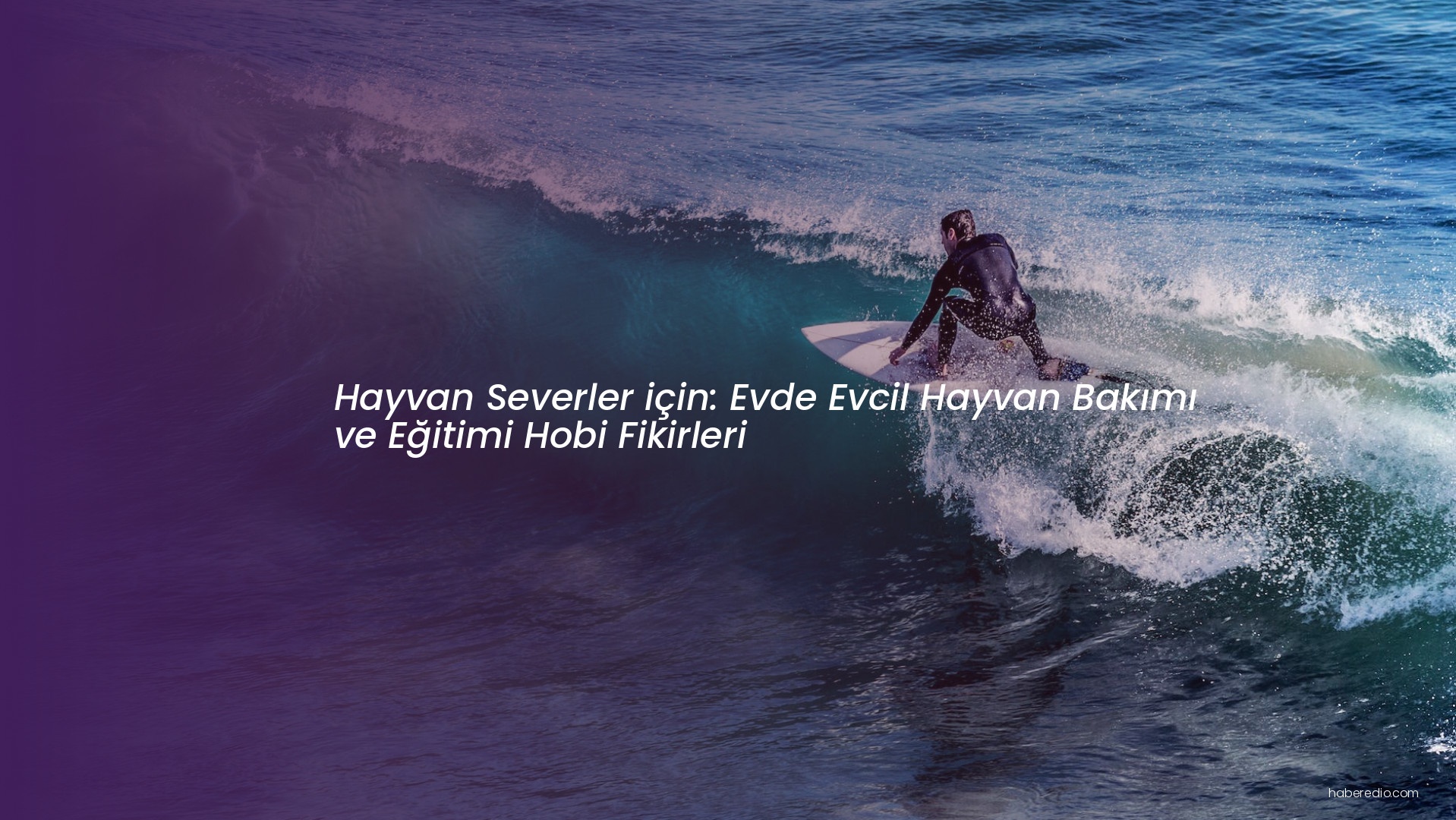 Hayvan Severler için: Evde Evcil Hayvan Bakımı ve Eğitimi Hobi Fikirleri Hayvan Severler için: Evde Evcil Hayvan Bakımı ve Eğitimi Hobi Fikirleri