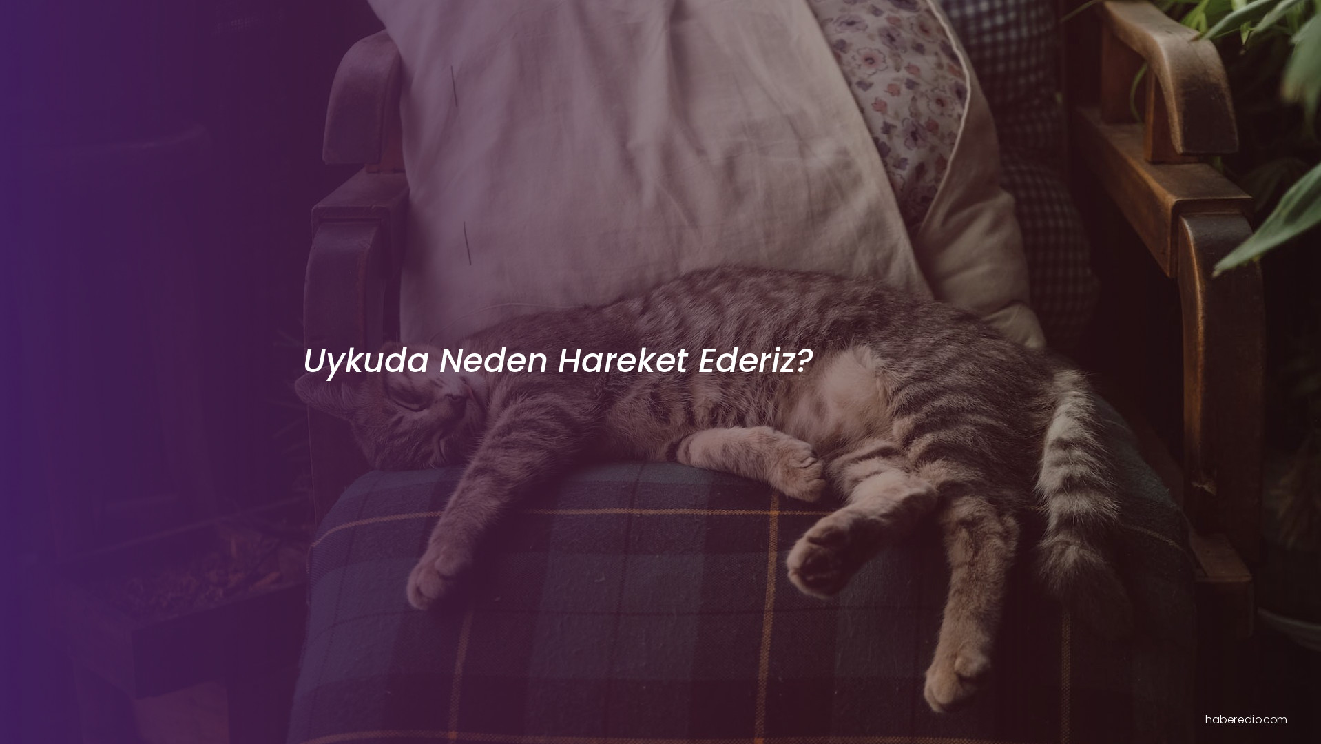 Uykuda Neden Hareket Ederiz? Uykuda Neden Hareket Ederiz?