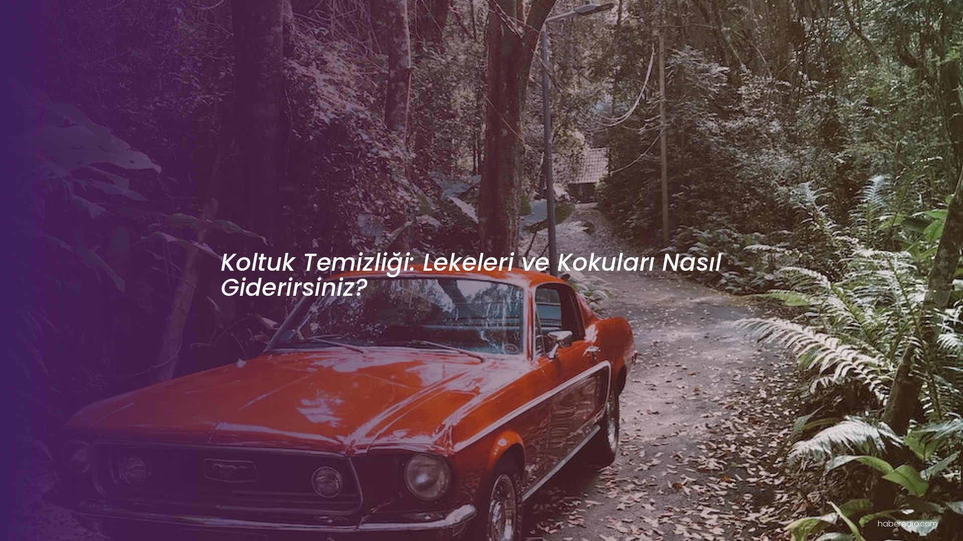 Koltuk Temizliği: Lekeleri ve Kokuları Nasıl Giderirsiniz? Koltuk Temizliği: Lekeleri ve Kokuları Nasıl Giderirsiniz?