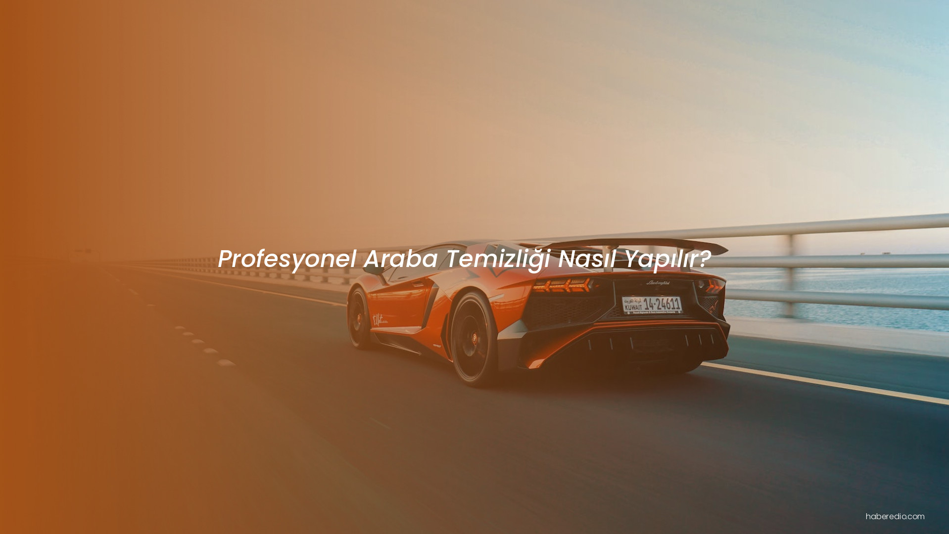 Profesyonel Araba Temizliği Nasıl Yapılır? Profesyonel Araba Temizliği Nasıl Yapılır?