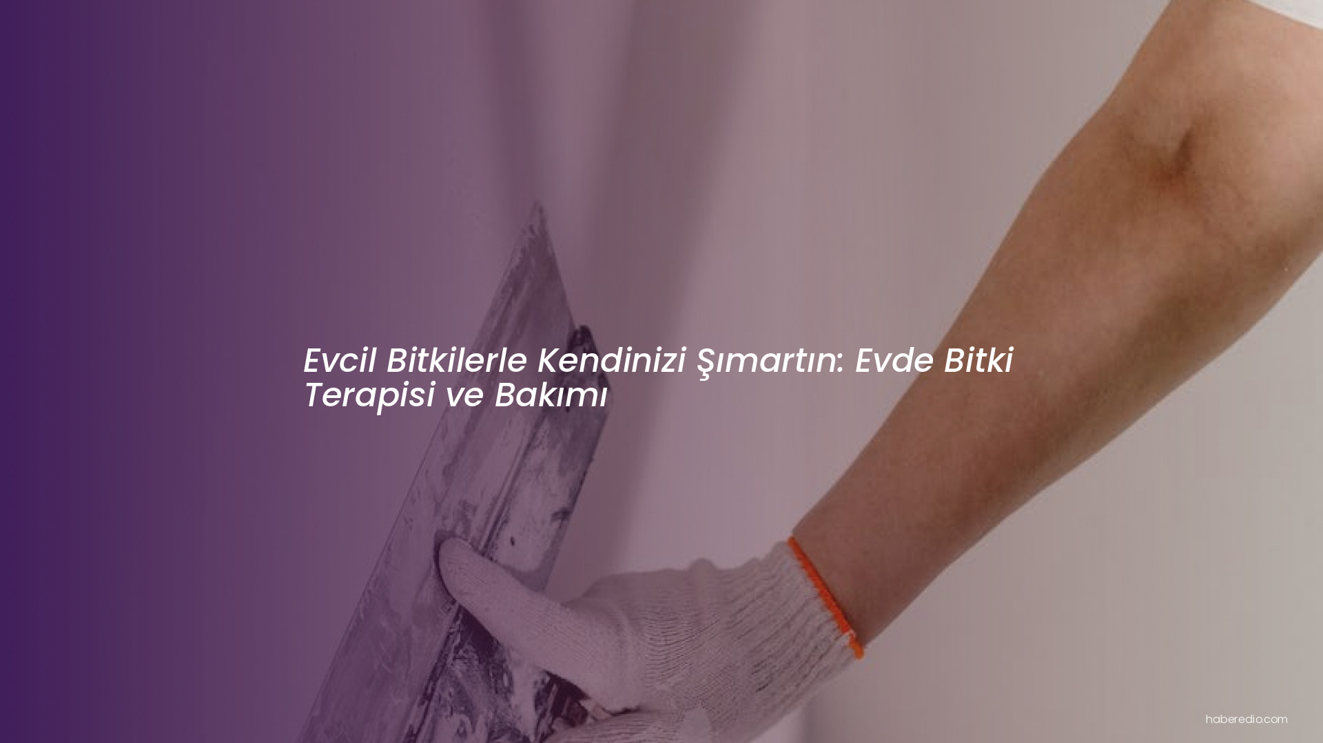 Evcil Bitkilerle Kendinizi Şımartın: Evde Bitki Terapisi ve Bakımı Evcil Bitkilerle Kendinizi Şımartın: Evde Bitki Terapisi ve Bakımı