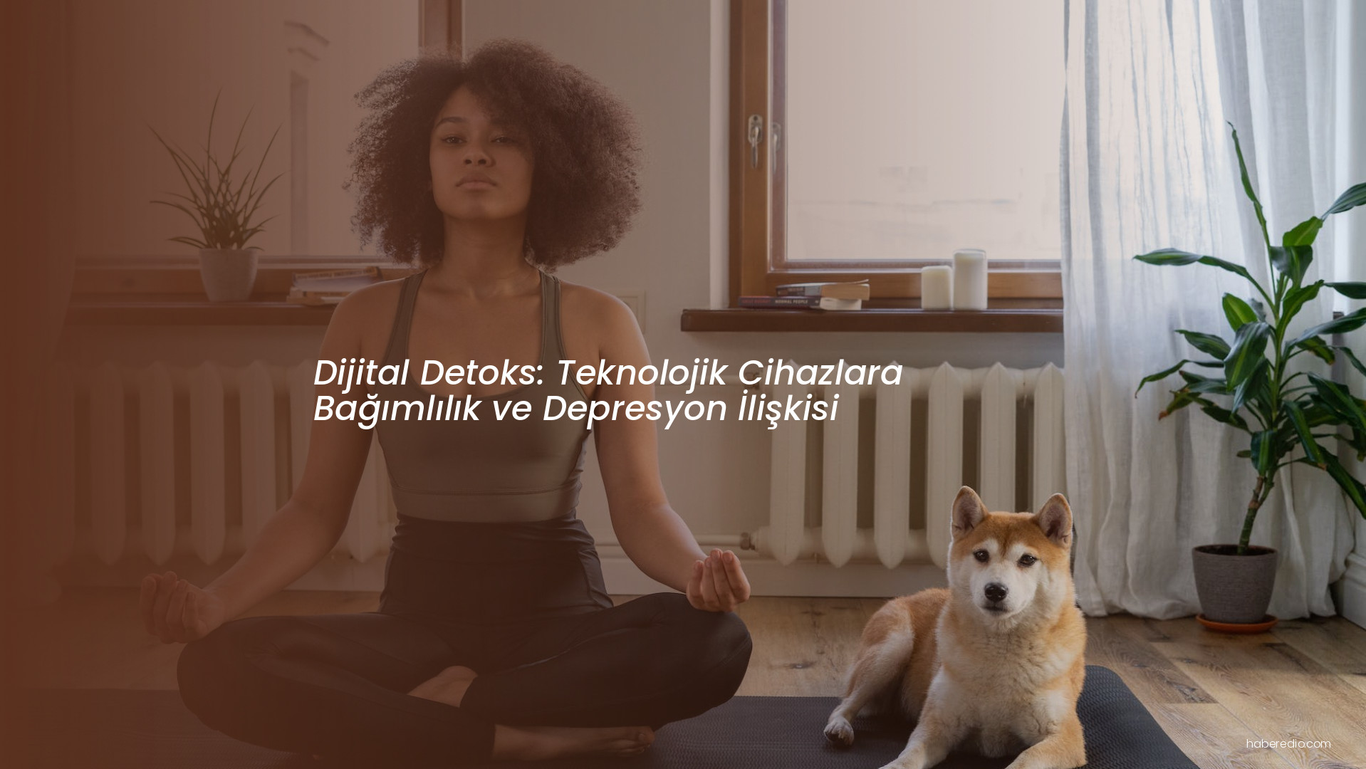 Dijital Detoks: Teknolojik Cihazlara Bağımlılık ve Depresyon İlişkisi Dijital Detoks: Teknolojik Cihazlara Bağımlılık ve Depresyon İlişkisi