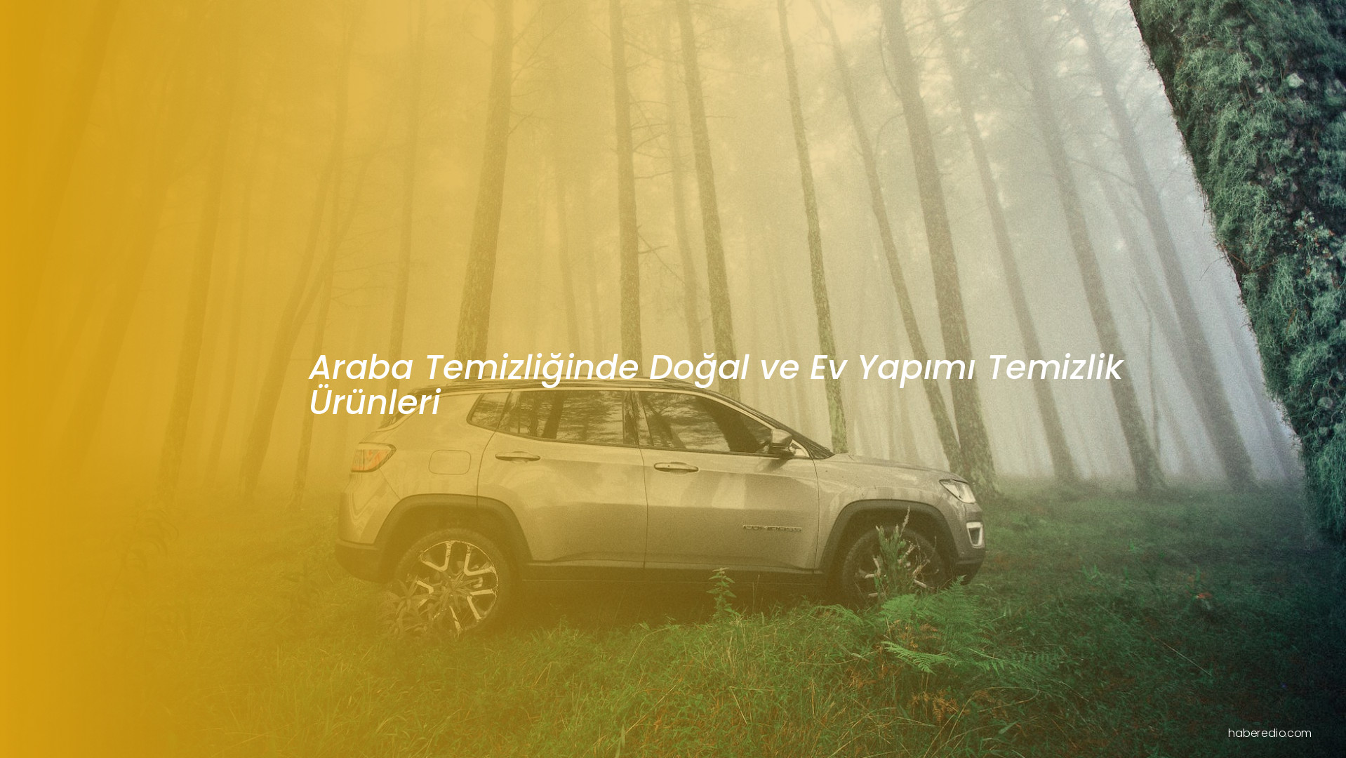Araba Temizliğinde Doğal ve Ev Yapımı Temizlik Ürünleri Araba Temizliğinde Doğal ve Ev Yapımı Temizlik Ürünleri