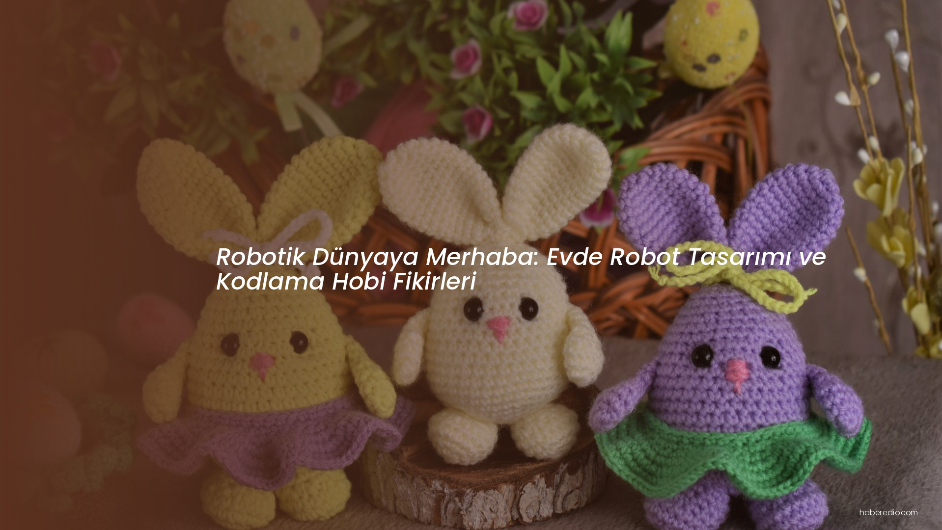 Robotik Dünyaya Merhaba: Evde Robot Tasarımı ve Kodlama Hobi Fikirleri Robotik Dünyaya Merhaba: Evde Robot Tasarımı ve Kodlama Hobi Fikirleri