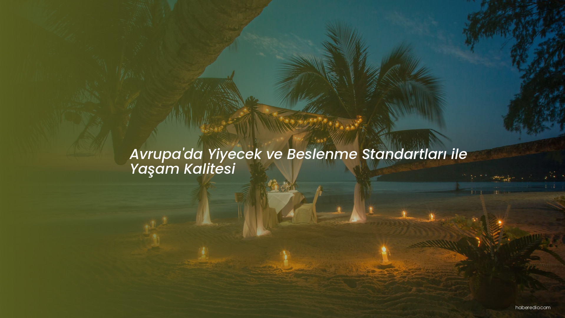 Avrupa'da Yiyecek ve Beslenme Standartları ile Yaşam Kalitesi Avrupa'da Yiyecek ve Beslenme Standartları ile Yaşam Kalitesi