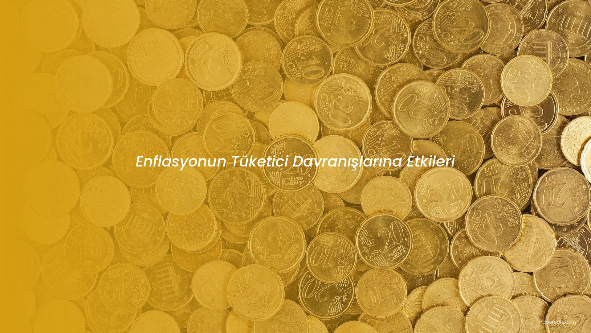 Enflasyonun Tüketici Davranışlarına Etkileri Enflasyonun Tüketici Davranışlarına Etkileri